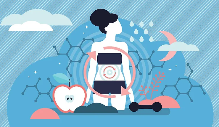Tipos de metabolismo, reconoce con cual te identificas !